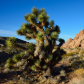 Gold Butte National Monument