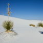 White Sands National Monument