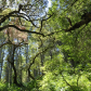 Point Reyes National Seashore