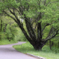 Shenandoah National Park
