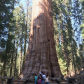 Sequoia/Kings Canyon National Park 