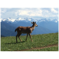 Olympic National Park