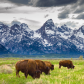 Grand Teton National Park
