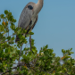 Everglades National Park