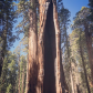 Sequoia National Park