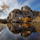 Joshua Tree National Park
