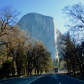 Yosemite National Park