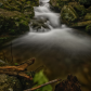 Shenandoah National Park