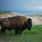 Badlands National Park