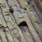 Devils Tower National Monument