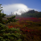 Mount Rainier National Park