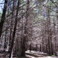 Point Reyes National Seashore