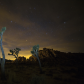 Joshua Tree National Park