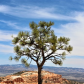 Bryce Canyon National Park
