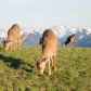 Olympic National Park