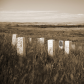 Little Bighorn Battlefield National Monument 