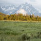 Grand Teton National Park 