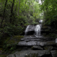 Chattahoochee National Forest