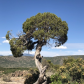 Black Canyon of the Gunnison National Park