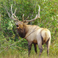 Rocky Mountain National Park