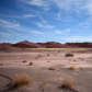 Petrified Forest National Park