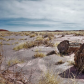 Petrified Forest National Park