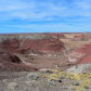 Petrified Forest National Park