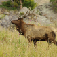 Rocky Mountain National Park