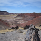 Petrified Forest National Park