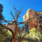 Grand Canyon National Park