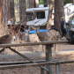 Yosemite National Park