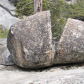 Yosemite National Park