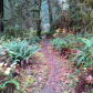 Olympic National Park