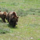 Grand Teton National Park