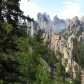 Black Hills National Forest