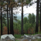 Black Hills National Forest