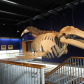 Kodiak National Wildlife Refuge Visitors Center