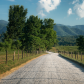Great Smoky Mountain National Park