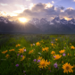 Grand Teton National Park