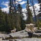 Okanogan-Wenatchee National Forest