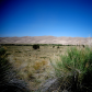 Great Sand Dunes National Park