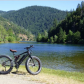 Shasta-Trinity National Forest