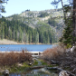 Shasta-Trinity National Forest