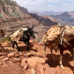 Grand Canyon National Park