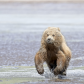 Lake Clark National Park and Preserve