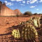 Arches National Park