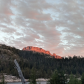 Stanislaus National Forest