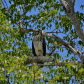 Everglades National Park