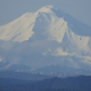 Shasta Trinity National Forest