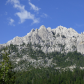 Shasta Trinity National Forest